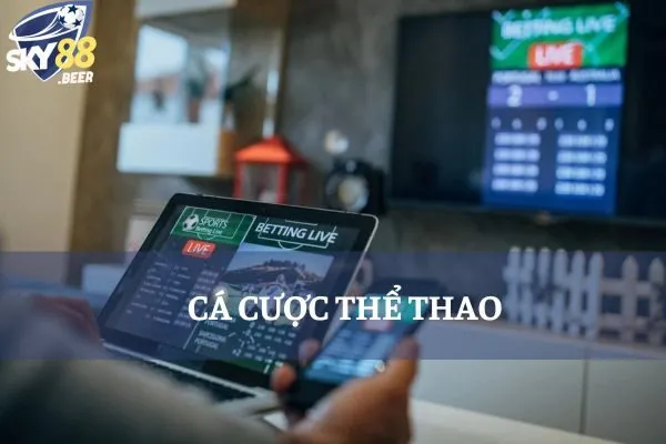 cá cược thể thao